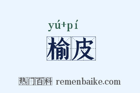 榆皮是什么意思的图片